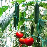 GardenGloss® Ranknetz mit großer Maschenweite für besonders ertragreiche Ernte von Gurken,...