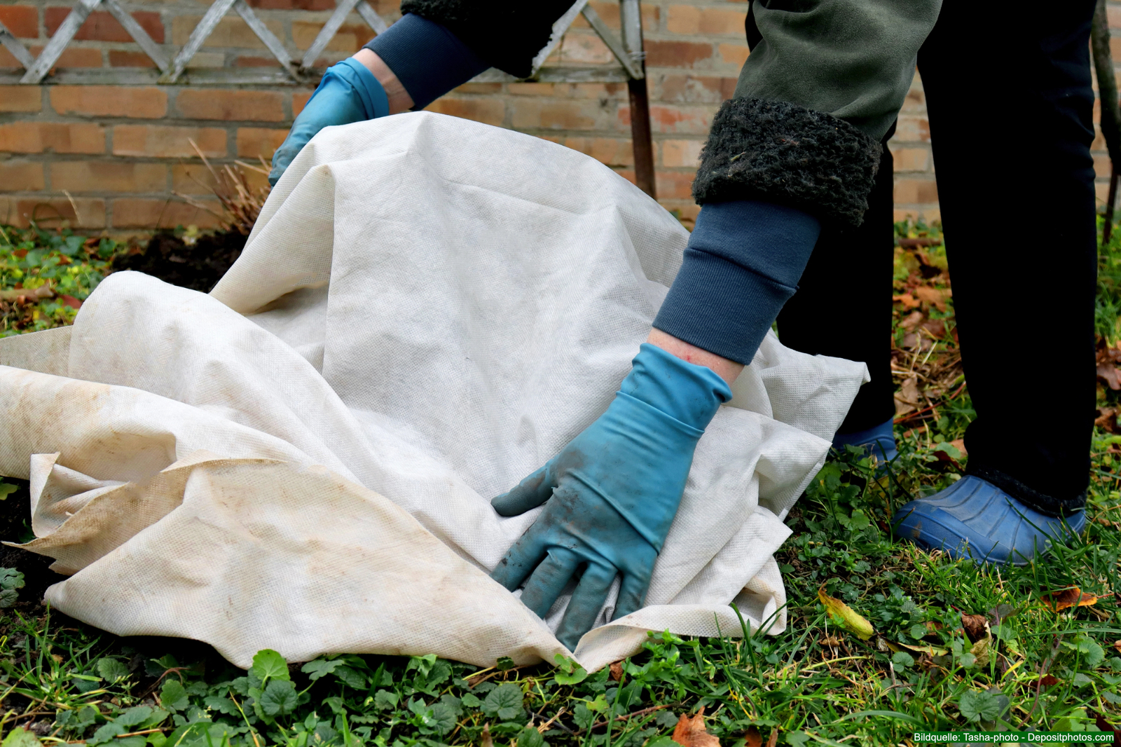 Winterschutz für Stauden: So überstehen Ihre Pflanzen die kalte Jahreszeit